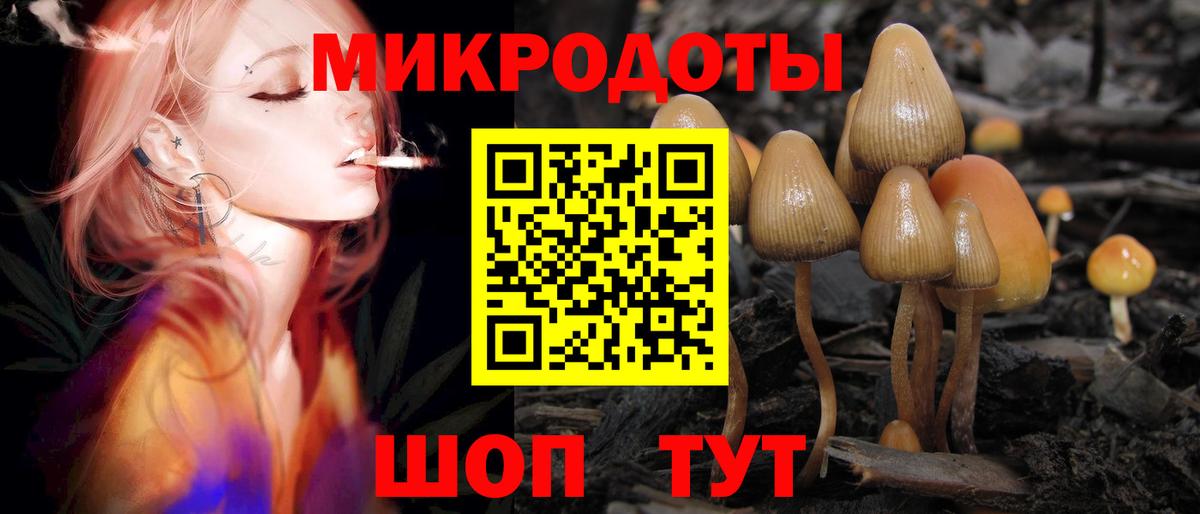Старый Оскол  Псилоцибиновые грибы прущие грибы  Вход с VPN 